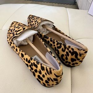 Steve Madden Shoes, Feather Leopard, Size 6